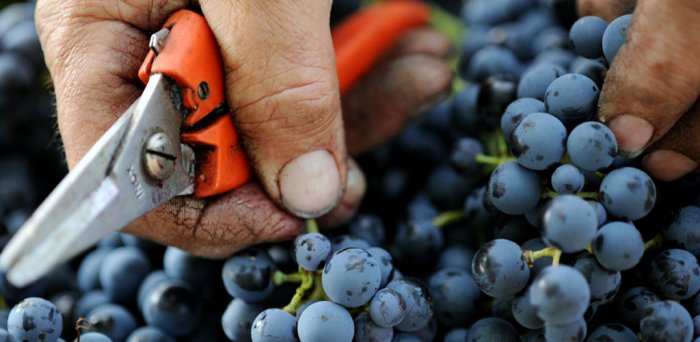 Tour della Valpolicella